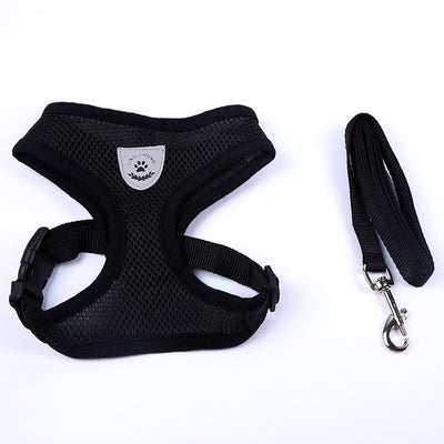 Small Dog Harness and Leash Set