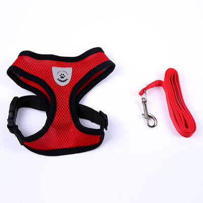 Small Dog Harness and Leash Set