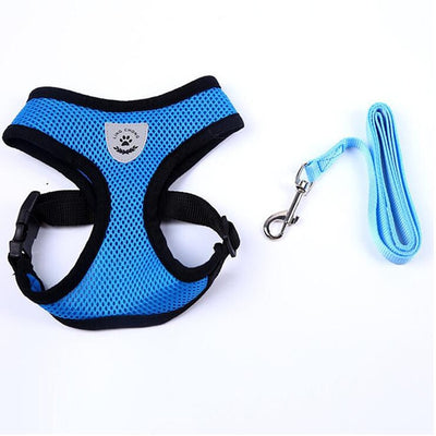 Small Dog Harness and Leash Set