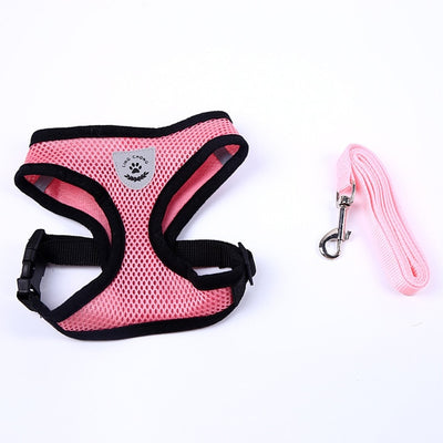 Small Dog Harness and Leash Set