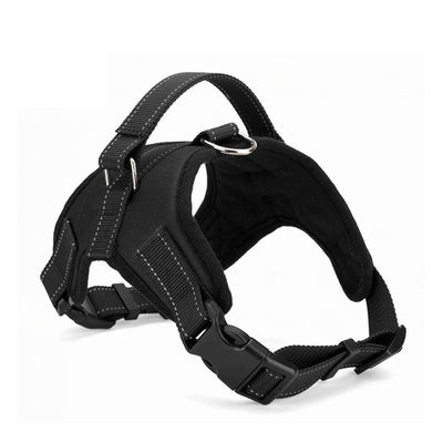 Adjustable Nylon Harness Collar Leash