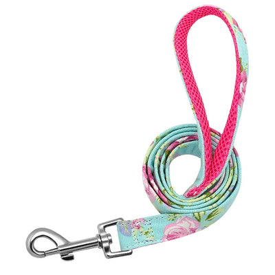 Dog Tag Collar Leash